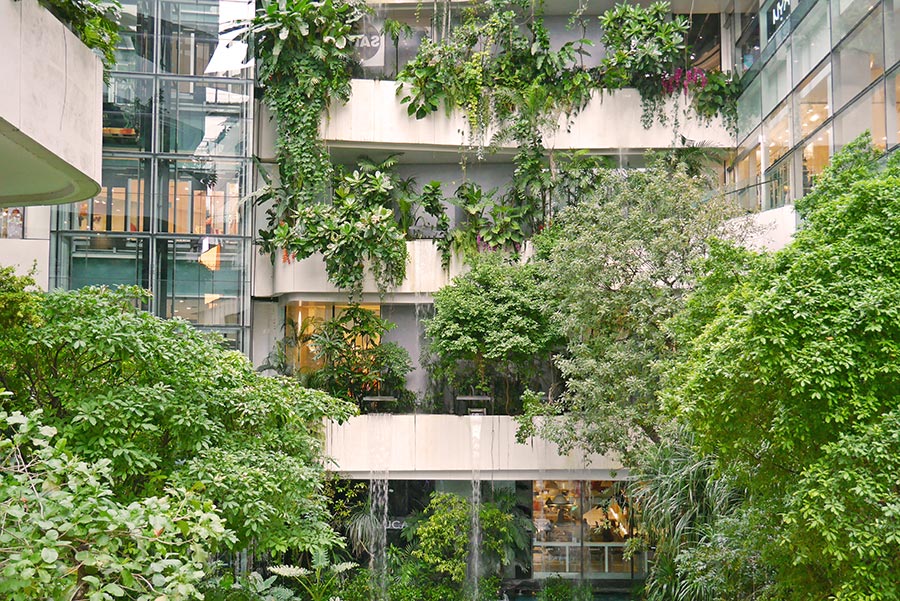 vertical garden trees building